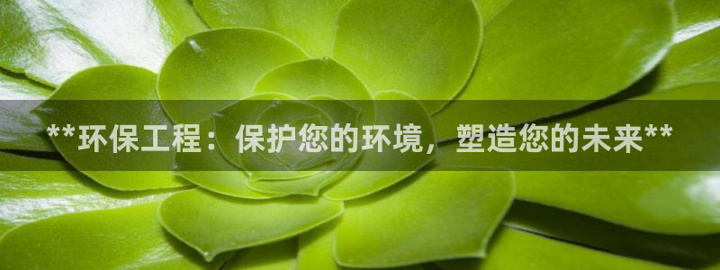 下载苹果手机版彩名堂：**环保工程：