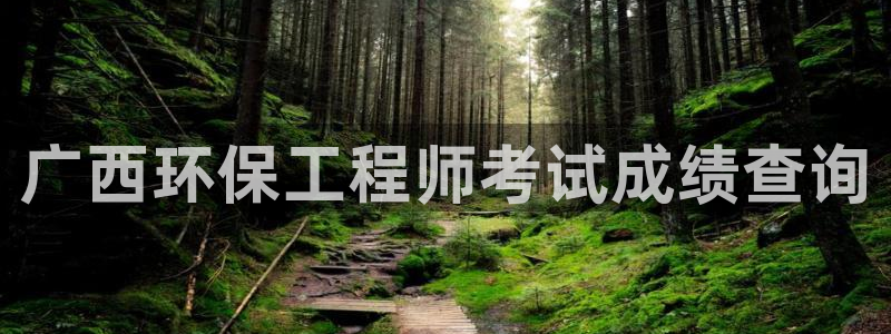 彩名堂图片：广西环保工程师考试成绩查