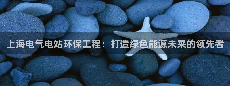 彩名堂：上海电气电站环保工程：打造绿