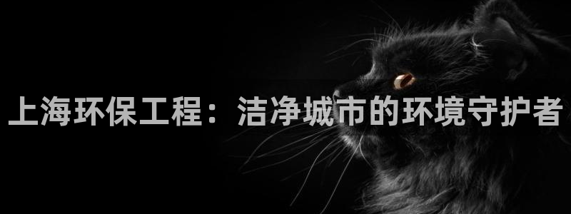 彩名堂是什么：上海环保工程：洁净城市