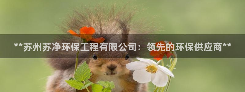 彩名堂app2.05版本：**苏州苏