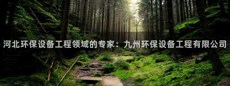 彩名堂人工计划客户端官网：河北环保设