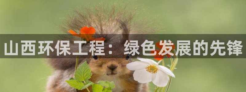 彩名堂免费计划官网5.0app：山西