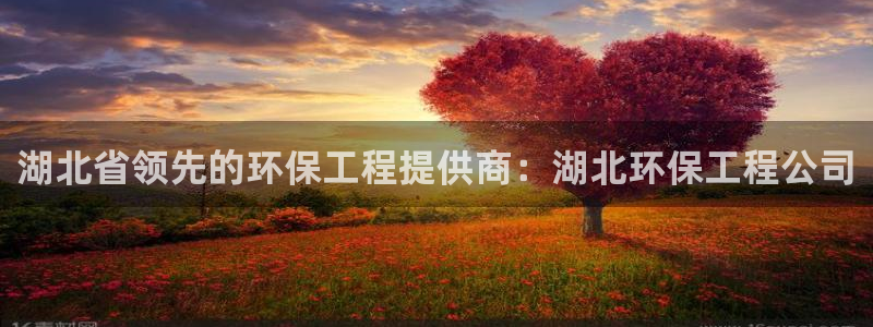 彩名堂免费计划亮点：湖北省领先的环保