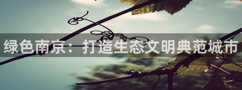彩名堂官网在线计划怎么不更新了：绿色
