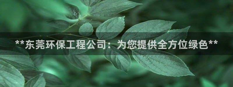 彩名堂是正规的公司吗：**东莞环保工