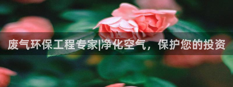 彩名堂安卓客户端官网：废气环保工程专