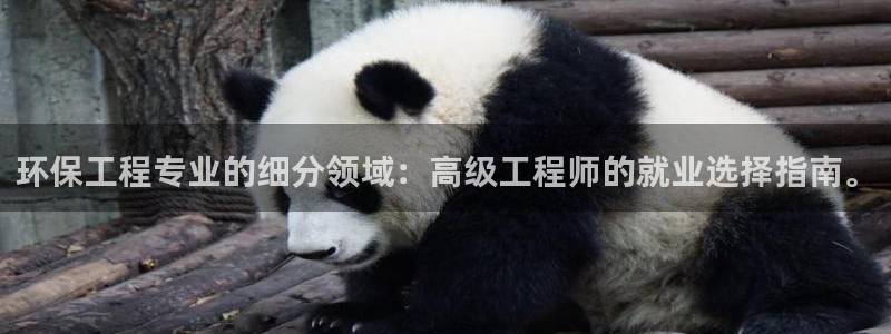 彩名堂怎么不能用了：环保工程专业的细