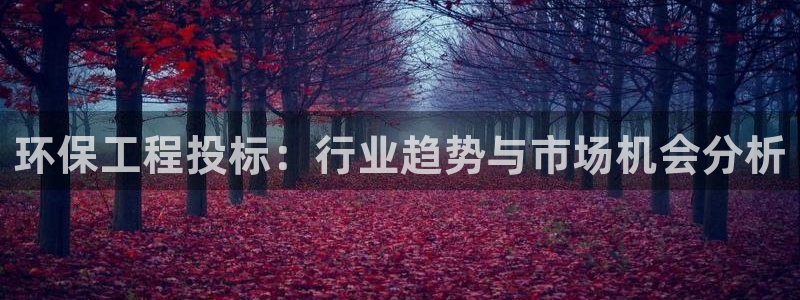 彩名堂最新计划app下载：环保工程投
