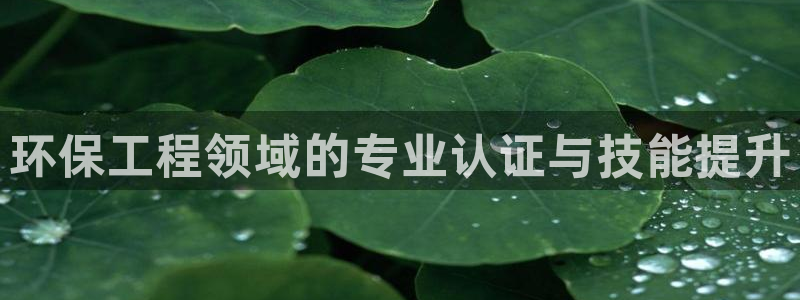 彩名堂改成什么名字了：环保工程领域的