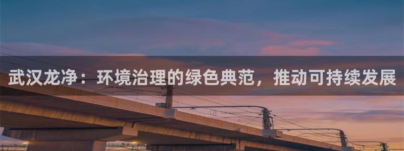 彩名堂计划官方下载网址：武汉龙净：环