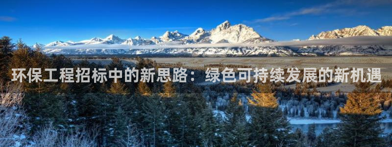 彩名堂和01计划哪个好：环保工程招标