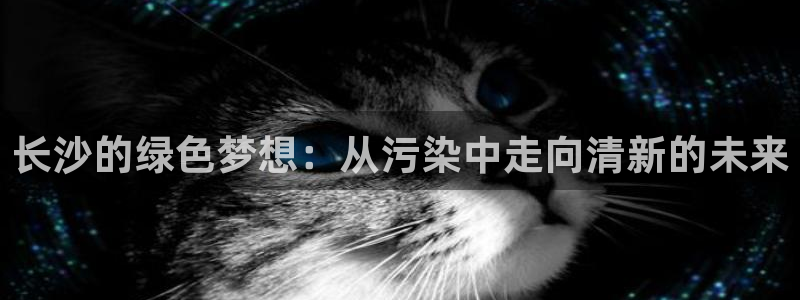 彩名堂最新免费计划官网：长沙的绿色梦