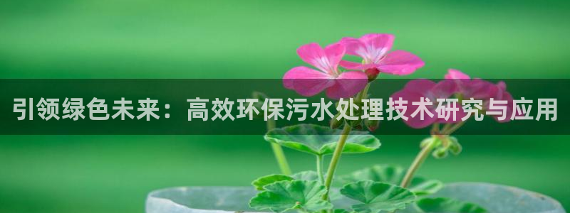 谁知道彩名堂网站是多少：引领绿色未来