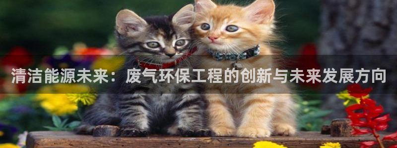 彩名堂计划怎么买胜率高：清洁能源未来