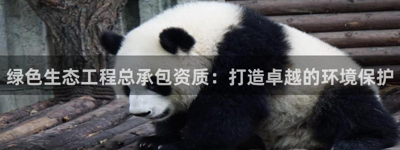 老版本彩名堂计划软件：绿色生态工程总