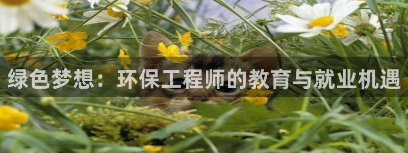 彩名堂计划怎么跟,为什么我一跟就挂：
