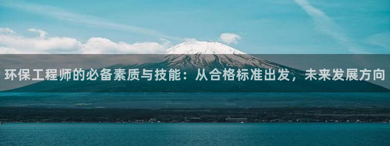 彩名堂为什么突然不能用了：环保工程师的必备素质与技能：从合格