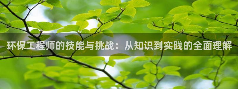 彩名堂预测免费计划怎么看的：环保工程师的技能与挑战：从知识到