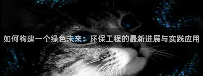 彩名堂最新计划app下载：如何构建一