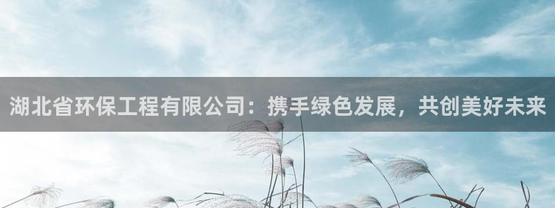 彩名堂计划软件下载：湖北省环保工程有限公司：携手绿色发展，共创美好未来