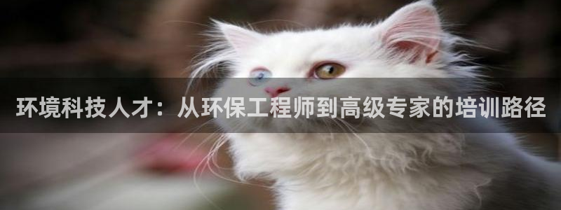 彩名堂加拿大怎么买准确率高：环境科技