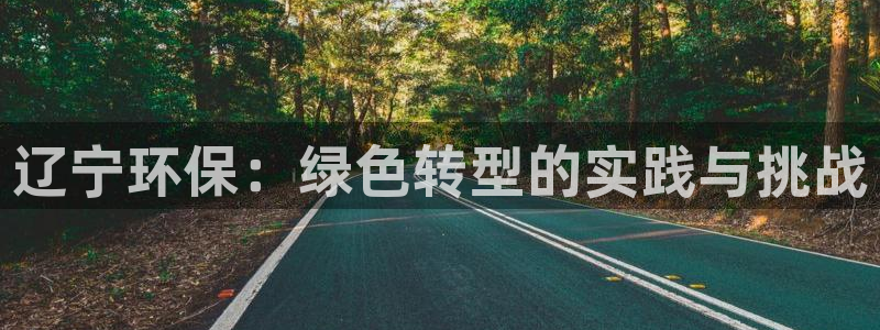 彩名堂计划真的准吗：辽宁环保：绿色转
