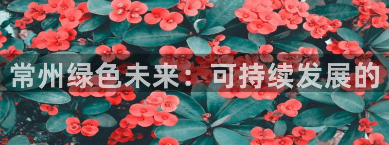 彩名堂官网2：常州绿色未来：可持续发展的