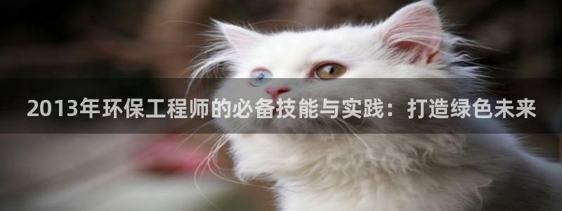 彩名堂app官方网：2013年环保工