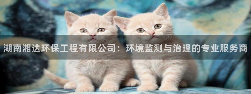 彩名堂预测免费计划怎么看的：湖南湘达环保工程有限公司：环境监