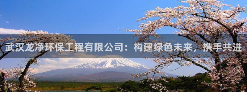 彩名堂客户端是永久免费吗：武汉龙净环