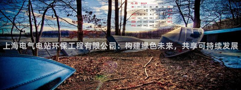 彩名堂平台：上海电气电站环保工程有限公司：构建绿色未来，共享