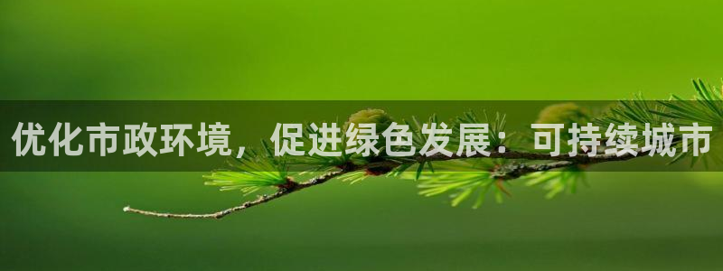 彩名堂计划技巧：优化市政环境，促进绿