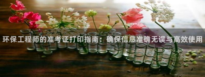 彩名堂计划最新版手机版：环保工程师的准考证打印指南：确保信息