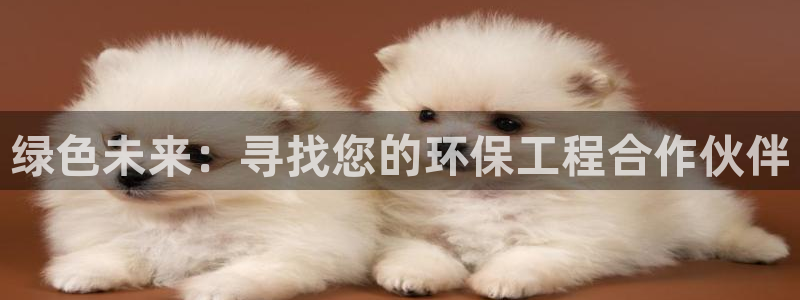 彩名堂用不了：绿色未来：寻找您的环保工程合作伙伴