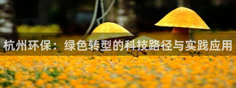 彩名堂移动客户端是什么：杭州环保：绿色转型的科技路径与实践应