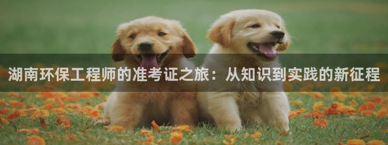 彩名堂计划怎么打不开了：湖南环保工程师的准考证之旅：从知识到