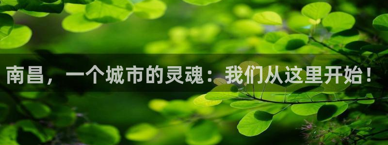 彩名堂官网计划01：南昌，一个城市的