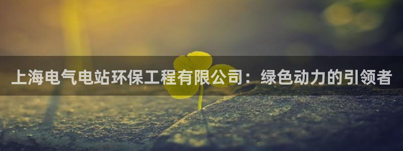 彩名堂.netnet：上海电气电站环