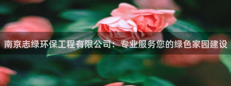 彩名堂APP下载：南京志绿环保工程有