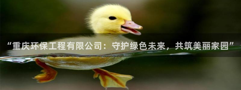 彩名堂免费计划使用方法是什么：“重庆