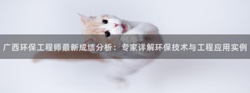 彩名堂客服：广西环保工程师最新成绩分