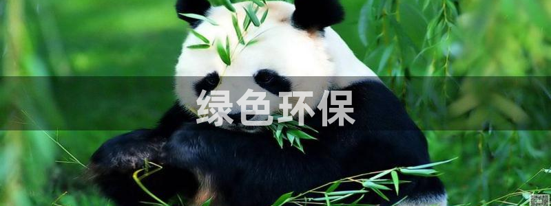 彩名堂免费计划官网老版本：绿色环保