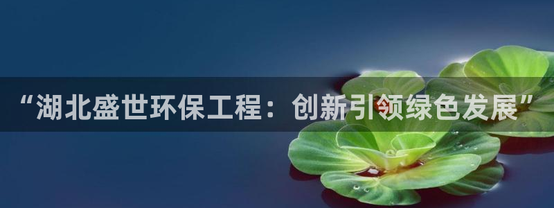 彩名堂手机客户端怎么进不去了：“湖北盛世环保工程：创新引领绿