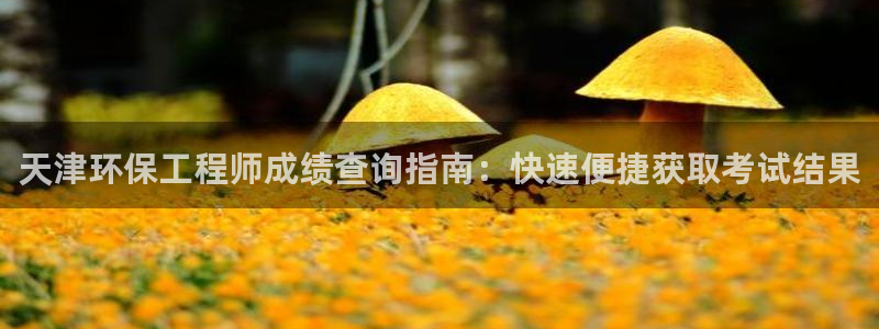 彩名堂怎么打最稳：天津环保工程师成绩查询指南：快速便捷获取考