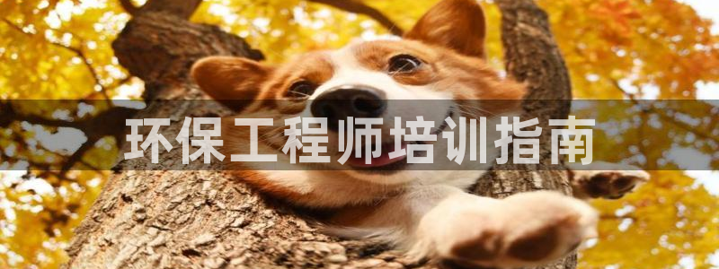 彩名堂手机客户端怎么下载：环保工程师