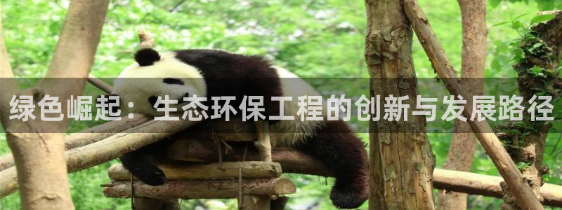 彩名堂怎么跟计划才不连挂在一起：绿色