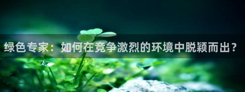 彩名堂还可以用吗：绿色专家：如何在竞
