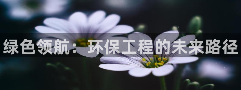 彩名堂好用还是千里马好用：绿色领航：