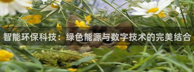 彩名堂还能用吗：智能环保科技：绿色能